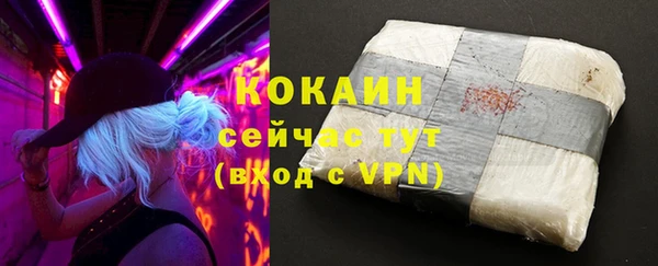 тгк Абаза