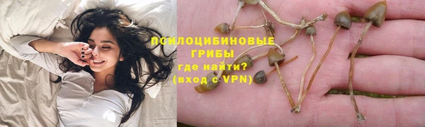 тгк Абаза