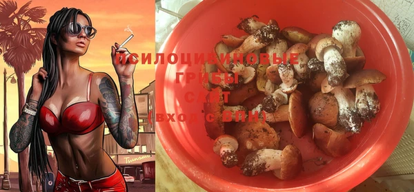а пвп мука Абдулино