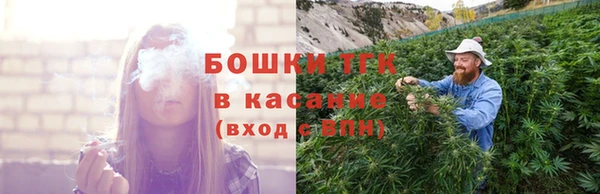 тгк Абаза